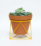 Ring Planter